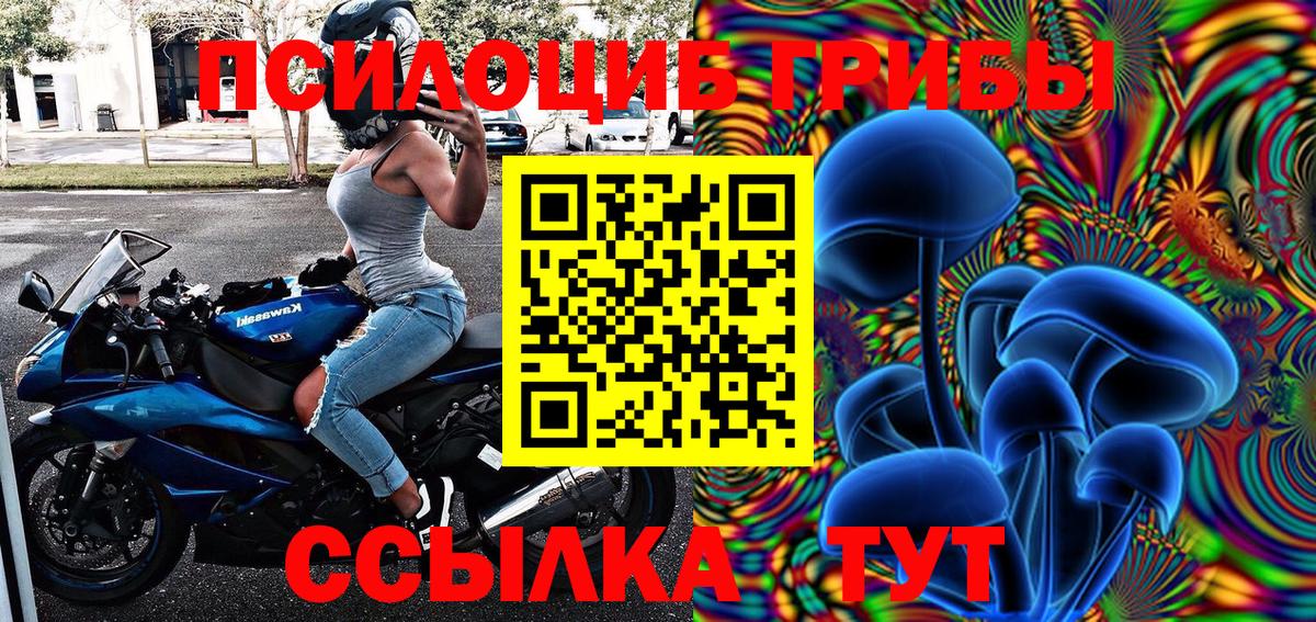 Псилоцибиновые грибы Psilocybe Лиски