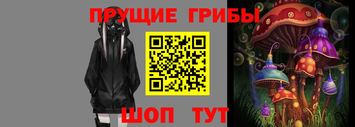Псилоцибиновые грибы Psilocybe  как найти   Лиски  Вход с VPN  Галлюциногенные грибы Magic Shrooms 
